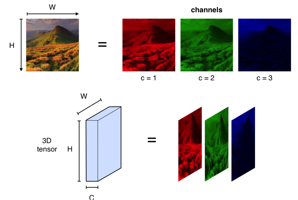Imagen descompuesta en canales RGB y tensor 3D